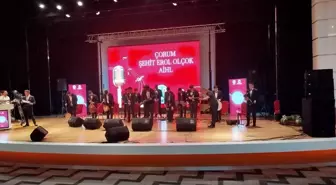 MEB'in musiki yarışmasında Çorum Şehit Erol Olçok Anadolu İHL birinci oldu