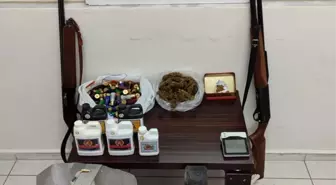 Menderes'te Kenevir Yetiştiren Şüpheli Yakalandı