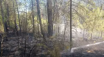 Bolu'da Çıkan Örtü Yangını Kontrol Altına Alındı