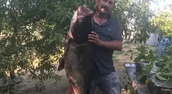 Edirne'de Amatör Balıkçıdan Dev Gümüş Sazan