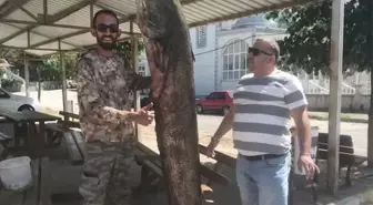 Edirne'de 80 Kilogramlık Dev Yayın Balığı Yakalandı