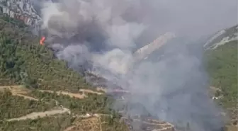 Mersin Anamur'da Orman Yangınına Havadar ve Karadan Müdahale