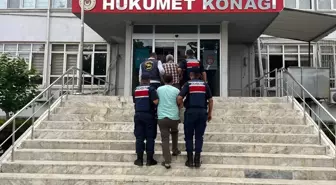 Mersin'de Cinayet Soruşturmasında 1 Tutuklama