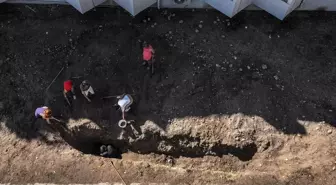Mersin'de Fin Balinasının İskeleti İçin Kazı Çalışmasına Başlandı