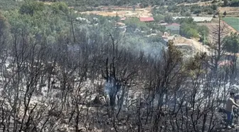 Mersin'in Silifke ilçesinde ağaçlık alanda yangın kontrol altına alındı