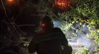 Mersin'in Erdemli İlçesinde Orman Yangını Kontrol Altına Alındı