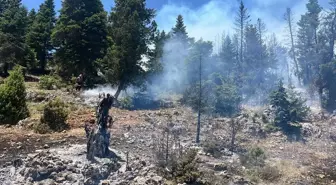 Mersin'de Orman Yangınına Müdahale Devam Ediyor