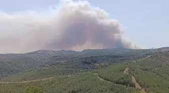 Silifke'de Orman Yangınına Hava ve Kara Müdahalesi