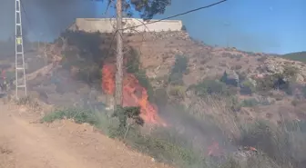 Mersin'de Otluk Alanda Çıkan Yangın Kontrol Altına Alındı