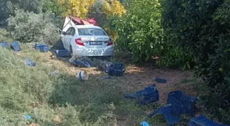 Mersin'de Zeytin Toplayan İşçilere Otomobil Çarptı: 1 Ölü, 3 Yaralı
