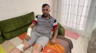 Sahipsiz Köpeklerin Saldırısına Uğrayan Yürücü Yaralandı