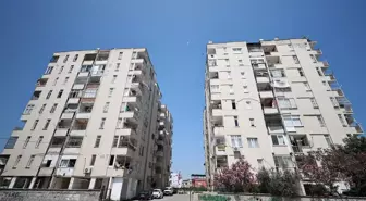 Mersin'de Maymun Sakinlerin Tedirginliğine Neden Oluyor