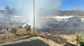 Mersin'de Elektrik Teli Yangına Sebep Oldu