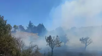 Mersin'de Tarım Arazisinde Yangın Çıktı