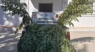 Mersin'de Uyuşturucu Operasyonu: 8 Gözaltı