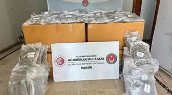 Mersin Limanı'nda 587 Kilogram Esrar Ele Geçirildi