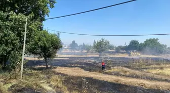 Amasya'da Tarım Arazisinde Yangın Kontrol Altına Alındı