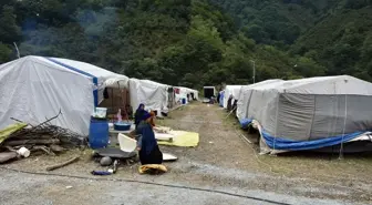 Mevsimlik Tarım İşçileri Fındık Hasadı İçin Ordu'ya Geldi
