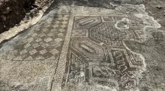 Diyarbakır'da Geç Roma-Erken Bizans Dönemine Ait Mozaik Bulundu