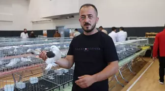 Midyat Musul Güvercin Festivali'nde Ödüller Sahiplerini Buldu