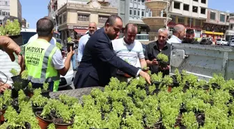 Midyat'ta vatandaşlara fesleğen ve reyhan çiçeği dağıtıldı