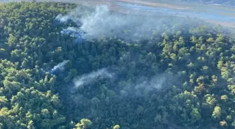 Muğla'da Orman Yangınına Hava ve Karadan Müdahale Devam Ediyor