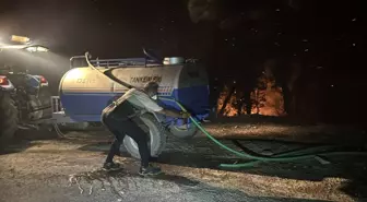 Muğla'nın Milas İlçesinde Orman Yangınına Müdahale