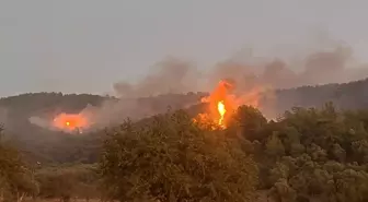 Muğla'da Orman Yangınına Müdahale Devam Ediyor