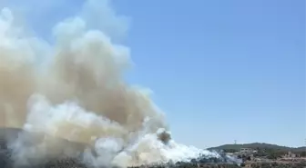 Muğla'nın Milas ilçesinde Ziraat Alanında Yangın Kontrol Altına Alındı