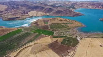 Şanlıurfalı Arkadaşlar Elazığ'da 6 Bin Dönüm Araziyi Tarıma Kazandırdı