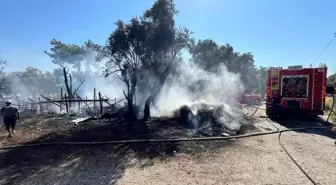 Muğla'da Ahırda Yangın: 14 Küçükbaş Hayvan Telef Oldu