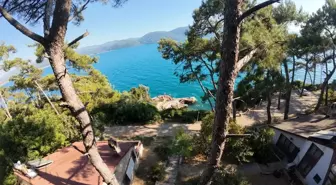 Akyaka Orman Kampı'na Yoğun İlgi
