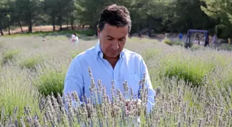 Muğla'da Yerel Tohum Distilasyon Tesisinde Uçucu Yağ Üretimi Artıyor