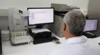 Muğla'da Toprak Analiz Çalışmaları ile Tarımda Verimlilik Artıyor