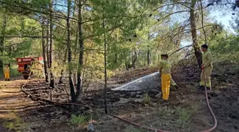 Muğla'da Orman Yangını Büyümeden Kontrol Altına Alındı