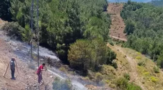 Marmaris'te Orman Yangını Büyümeden Söndürüldü