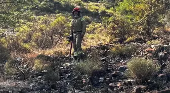 Muğla'da Orman Yangını Büyümeden Söndürüldü
