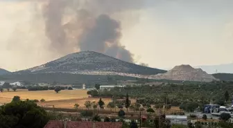 Muğla Yatağan'da Orman Yangınına Müdahale Başladı