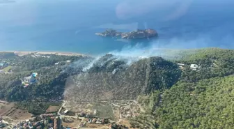 Muğla'da Orman Yangınına Müdahale Başladı
