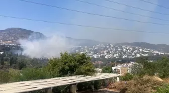 Muğla'da Çıkan Yangınlar Kontrol Altına Alındı