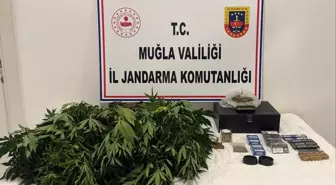 Datça'da Uyuşturucu Operasyonu: 2 Gözaltı