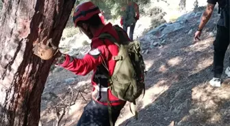 Muğla'da Kayıp İngiliz Turistin Cesedi Bulundu