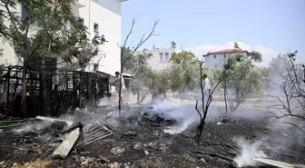 Fethiye'de Yangın Paniği: Zeytinliğe Sıçrayan Alevler Kontrol Altına Alındı