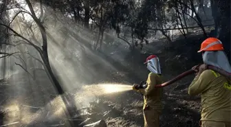 Muğla'da Orman Yangını Kontrol Altına Alındı