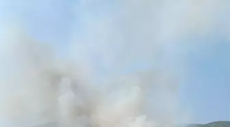 Muğla'da Orman Yangınına Hızla Müdahale
