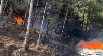 Muğla'da Otomobil Yangını Ormana Sıçramadan Söndürüldü