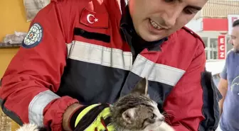 Fethiye'de Otomobil Motorunda Sıkışan Kedi Yavrusu Kurtarıldı