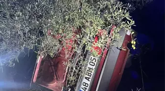 Milas'ta Otomobilin Şarampole Devilmesi Sonucu 2 Kişi Hayatını Kaybetti