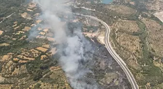 Muğla Yatağan'da Tarım Alanında Yangın