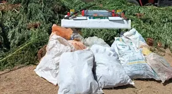 Köyceğiz'de Uyuşturucu ve Tarihi Eser Kaçakçılığı Operasyonu: 3 Gözaltı